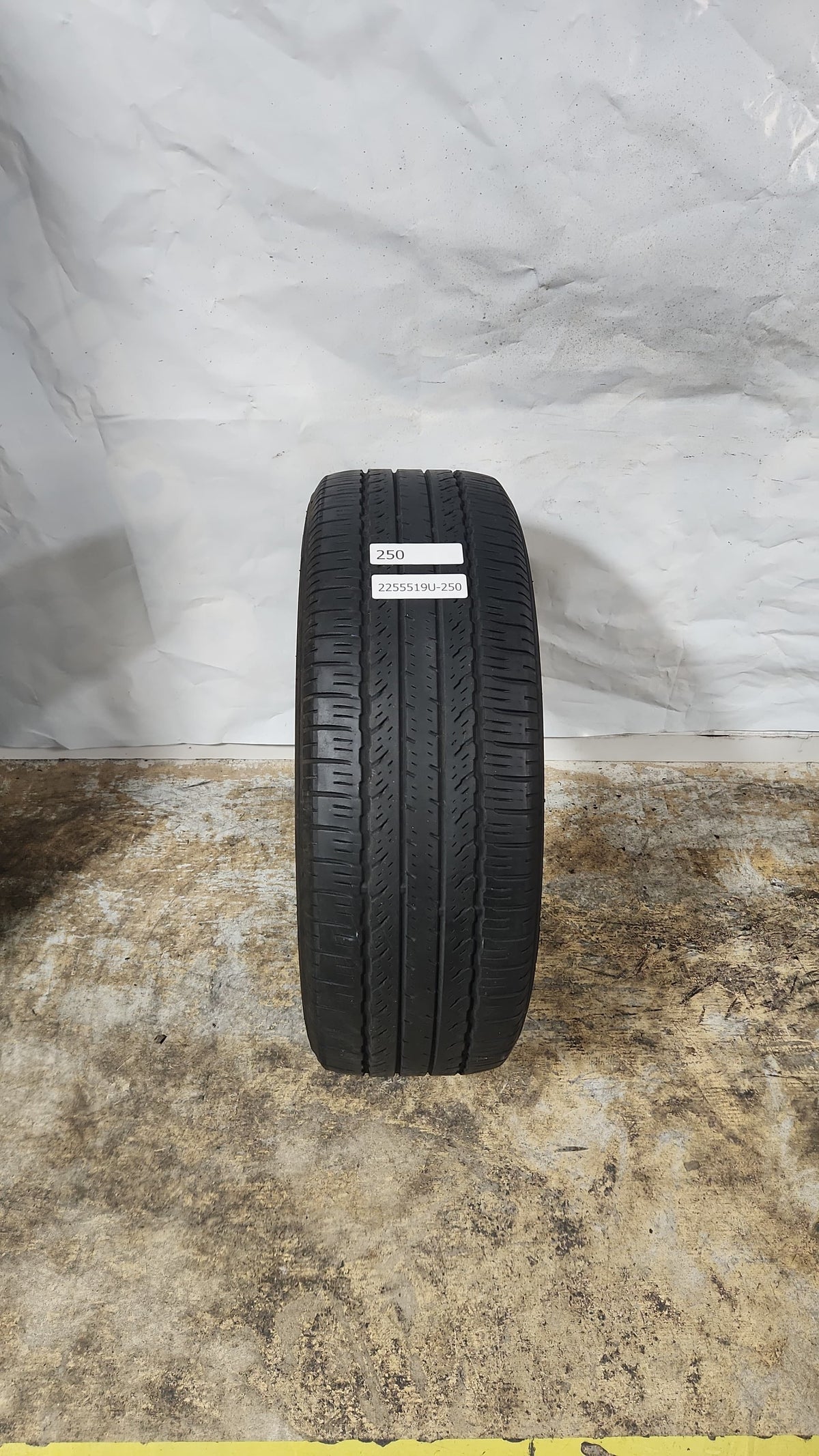 Used Tire - 225/55R19 Toyo A36
